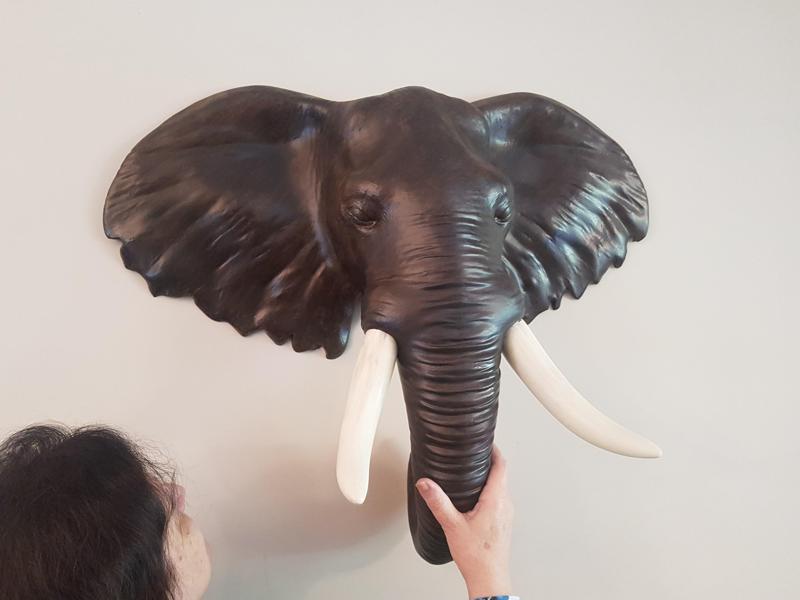 elephant head in parts