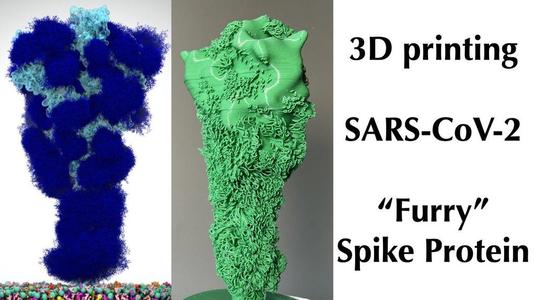 SARS-CoV-2 Coronavirus "Furry" Spike Protein