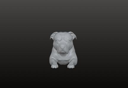 Staffordshire Bull Terrier, STL