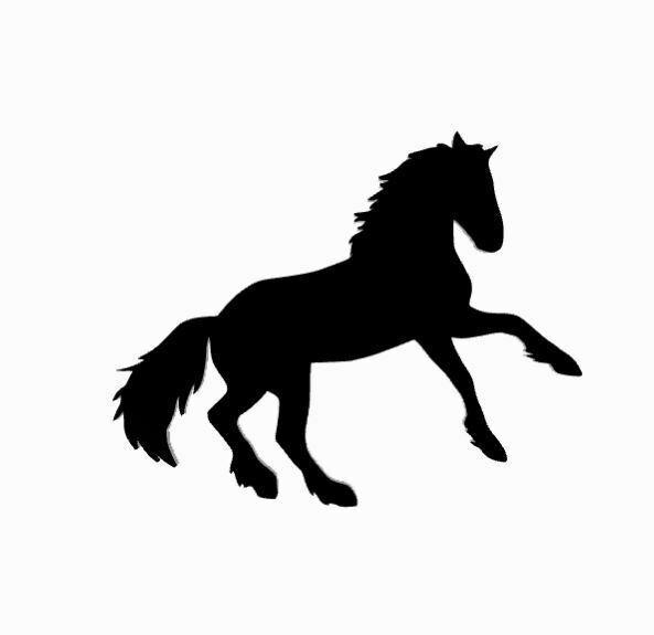 Horse silhouette