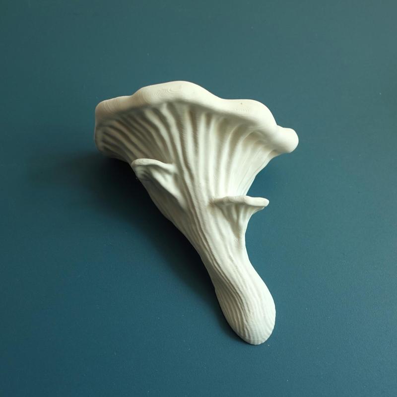 Mushroom shelf “Oyster”