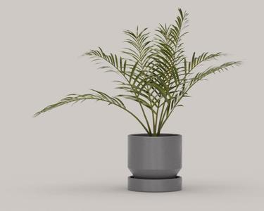 Planter assortment