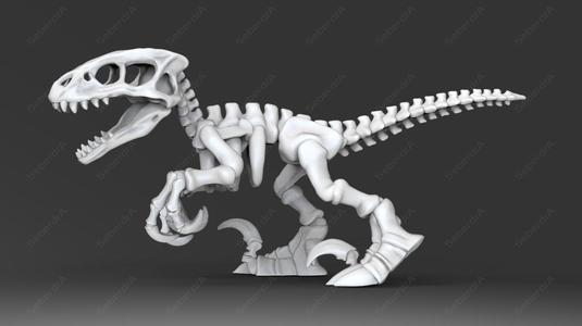 Raptor Skeleton