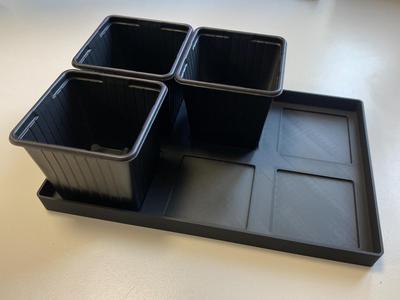 seedling drip tray