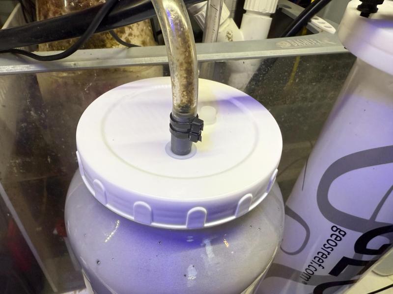 Protein Skimmer Container/Locker Barb