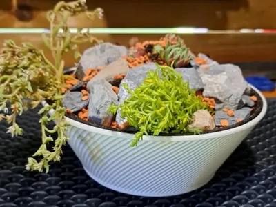 Blumentopf