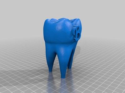 Barden Tooth w B