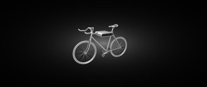 Bicycle model
