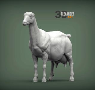 lamancha female 3D printed model