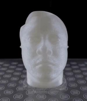 will.i.am 3D bust