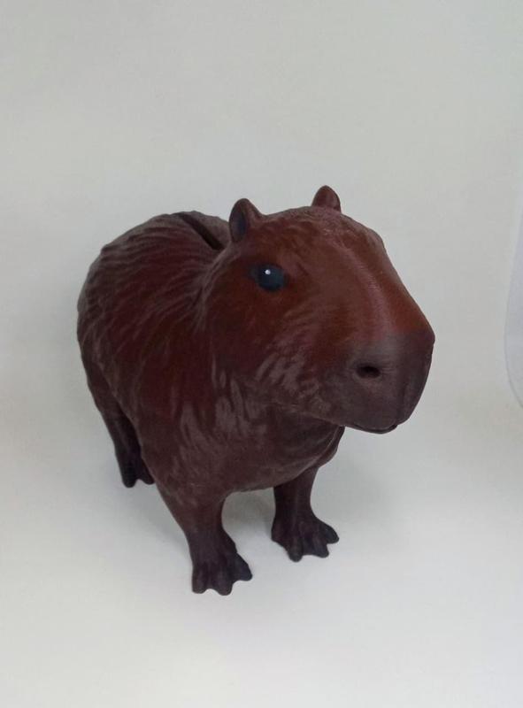 CAPYBARA CAPYBARA CAPYBARA