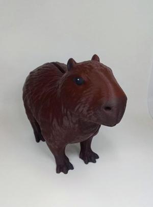 CAPYBARA CAPYBARA CAPYBARA