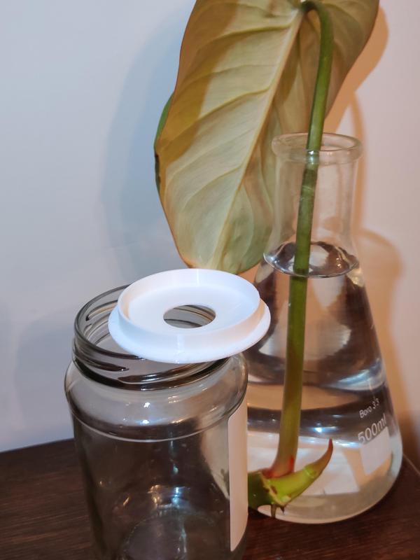 Propogation Jar Lid - 50mm - Single Opening