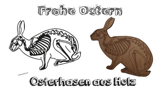 THE SCARY SKELETON BUNNY