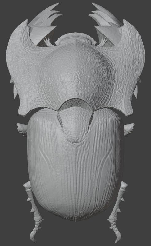 Kinsects collection - Monster hunter