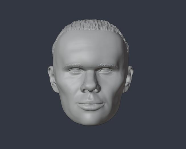 HALLAND BORUSSIA DORTMUND