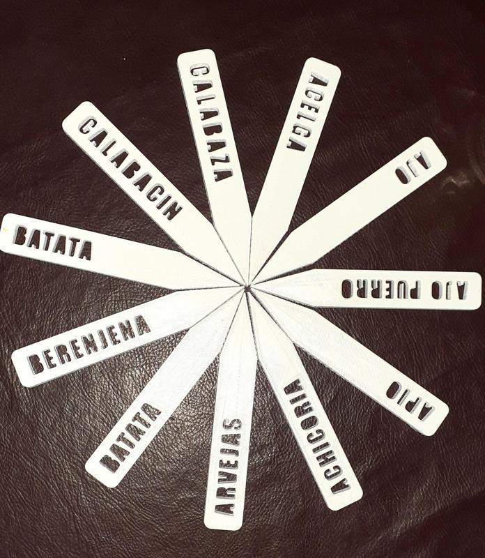 VEGETABLE GARDEN SORTER. GARDEN LABELS. NAMES OF PLANTS. PLANT TAGS. TAGS ALMACIGOS.N