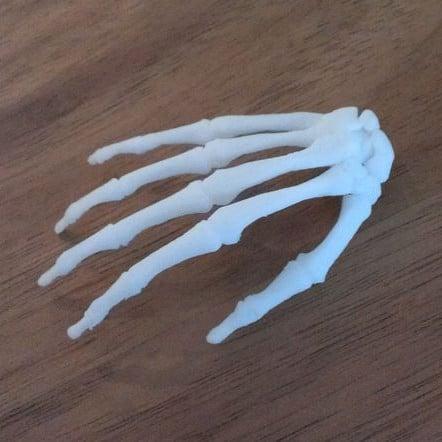 BodyParts3D Hand Skeleton 