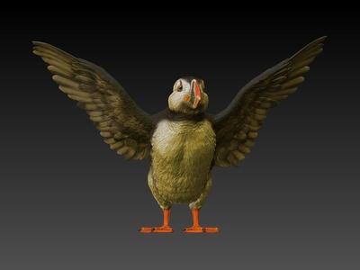Atlantic Puffin
