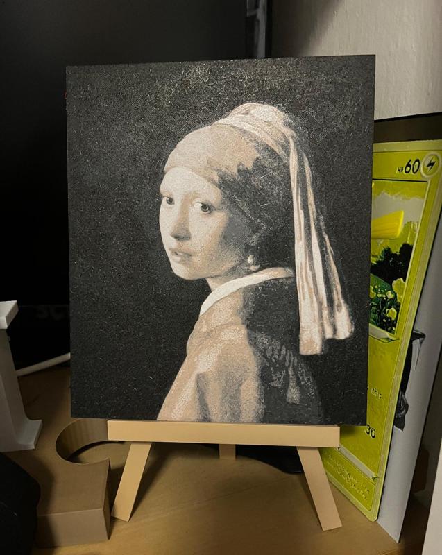 Meisje met de parel / Girl with pearl earring