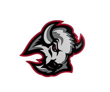 Buffalo Sabres Alternate Logo