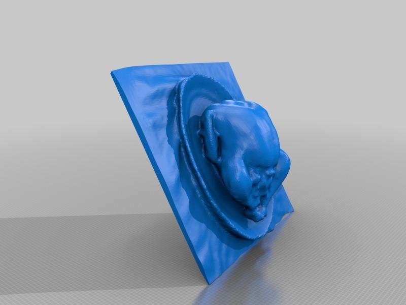 SENSE SCAN: Ozar Family Thanksgiving Turkey 2013