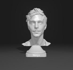 Ninja (Tyler Blevins) - Premium Statue