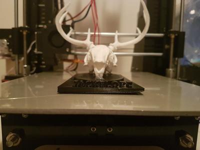 Jackelope Skull Stand