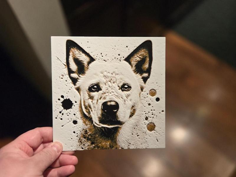 Graffiti Red Heeler Hueforge