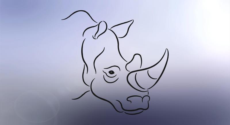 Rhino