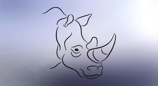 Rhino