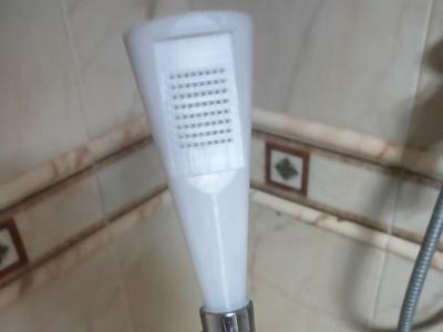Showerhead with Standard European Thread