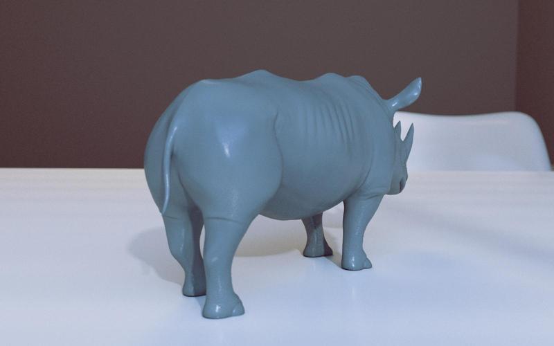 Rhinoceros
