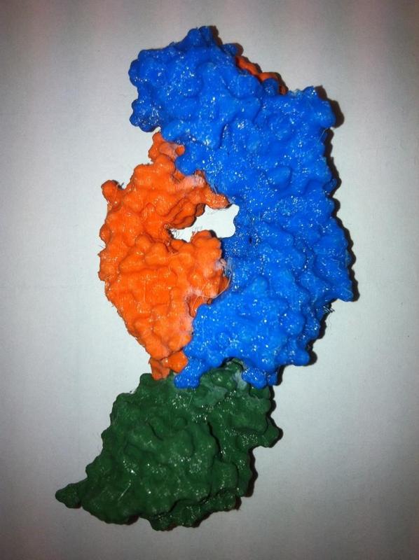 Antibody Antigen complex