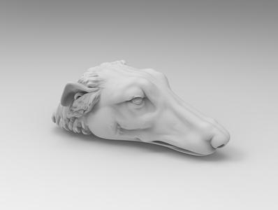 Dog Head