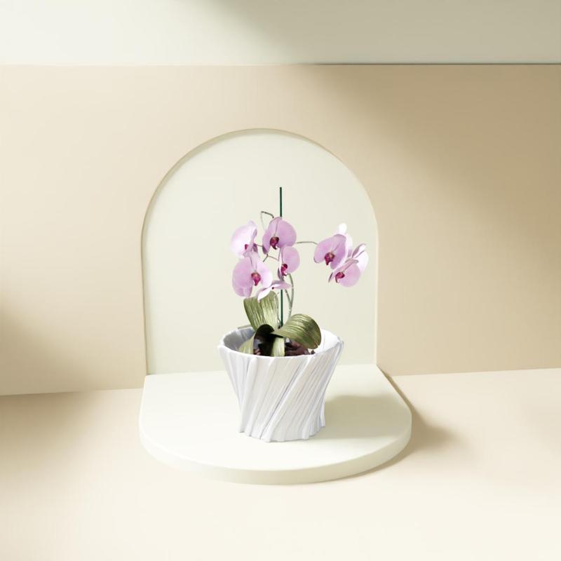 Twisted Fiber Orchid Pot/Bowl/Planter