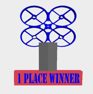 Tiny Whoop Trophy - First Place