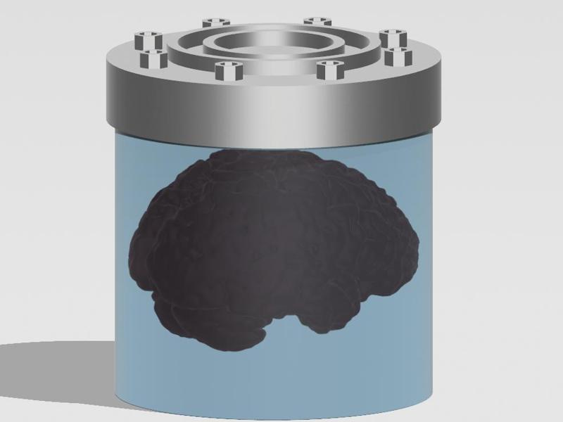 Doctor Who - Shoal of the Winter Harmony Brain Jar