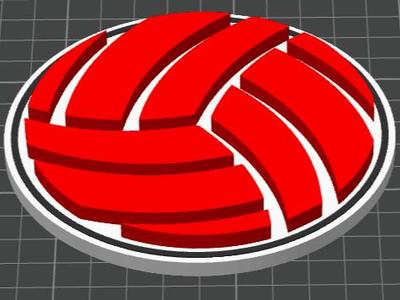Volleyball Plate
