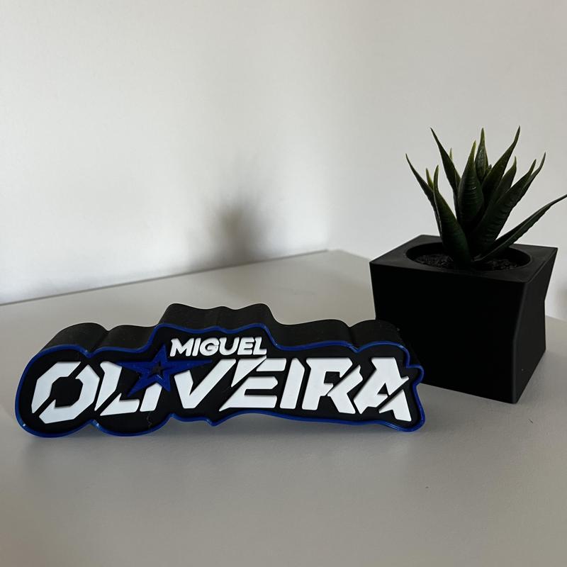 DECORATION ART OF MIGUEL OLIVEIRA