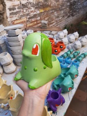 Mold Chikorita pokemon flower pot