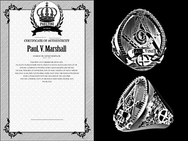  [ 2017 PAULTINI ] : Ring : org : observer