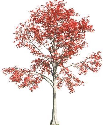 Flowers Pot Plant Home Decor 3D Plant Flower Model 5-8