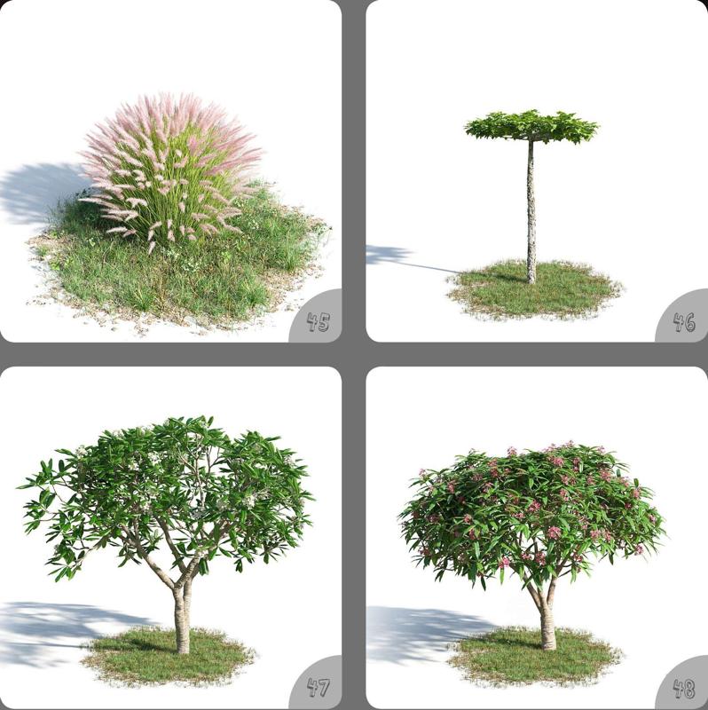 Plant Flowers Color 3D Pot Plant Model 45-48