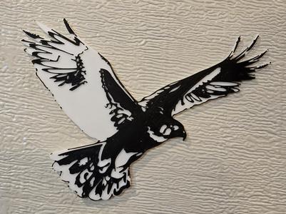 Osprey in Flight