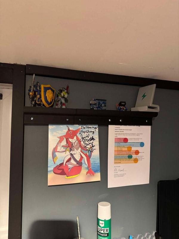 Gravitys picture wall stand. Print in place