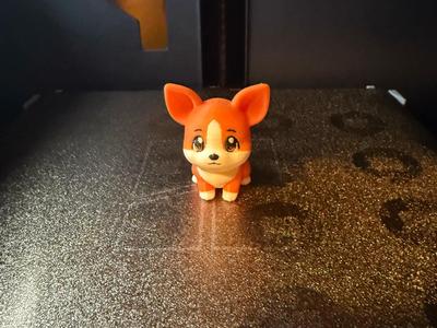 Cute Corgi