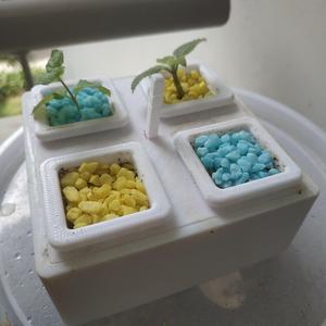 Mini Desktop Planter