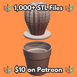 Cute Cactus Plant in Flower Pot Container with Secret Compartment MineeForm FDM 3D Print STL File