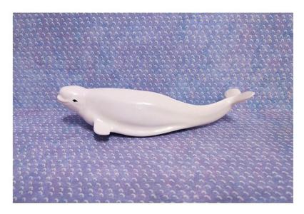 beluga beluha belukha white whale